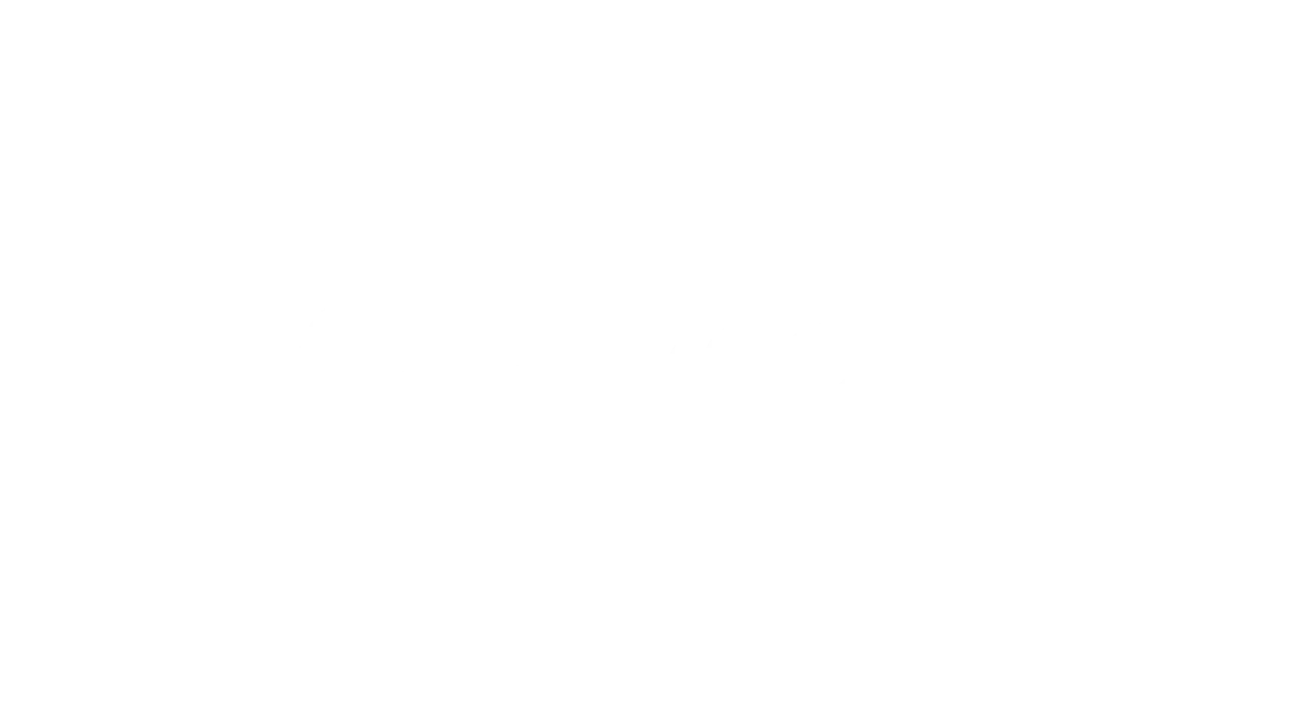 Raycon